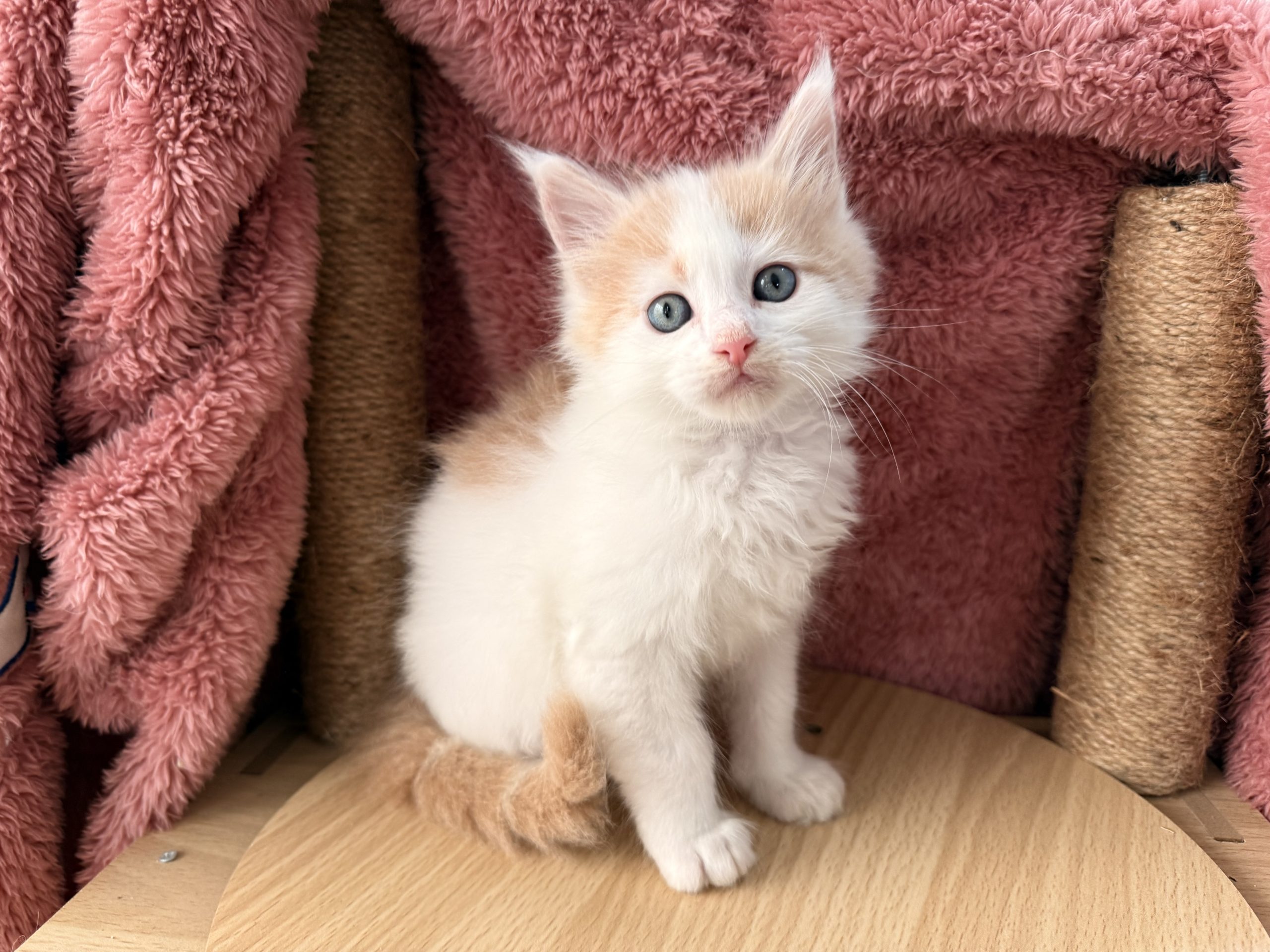 成长档案（小之）