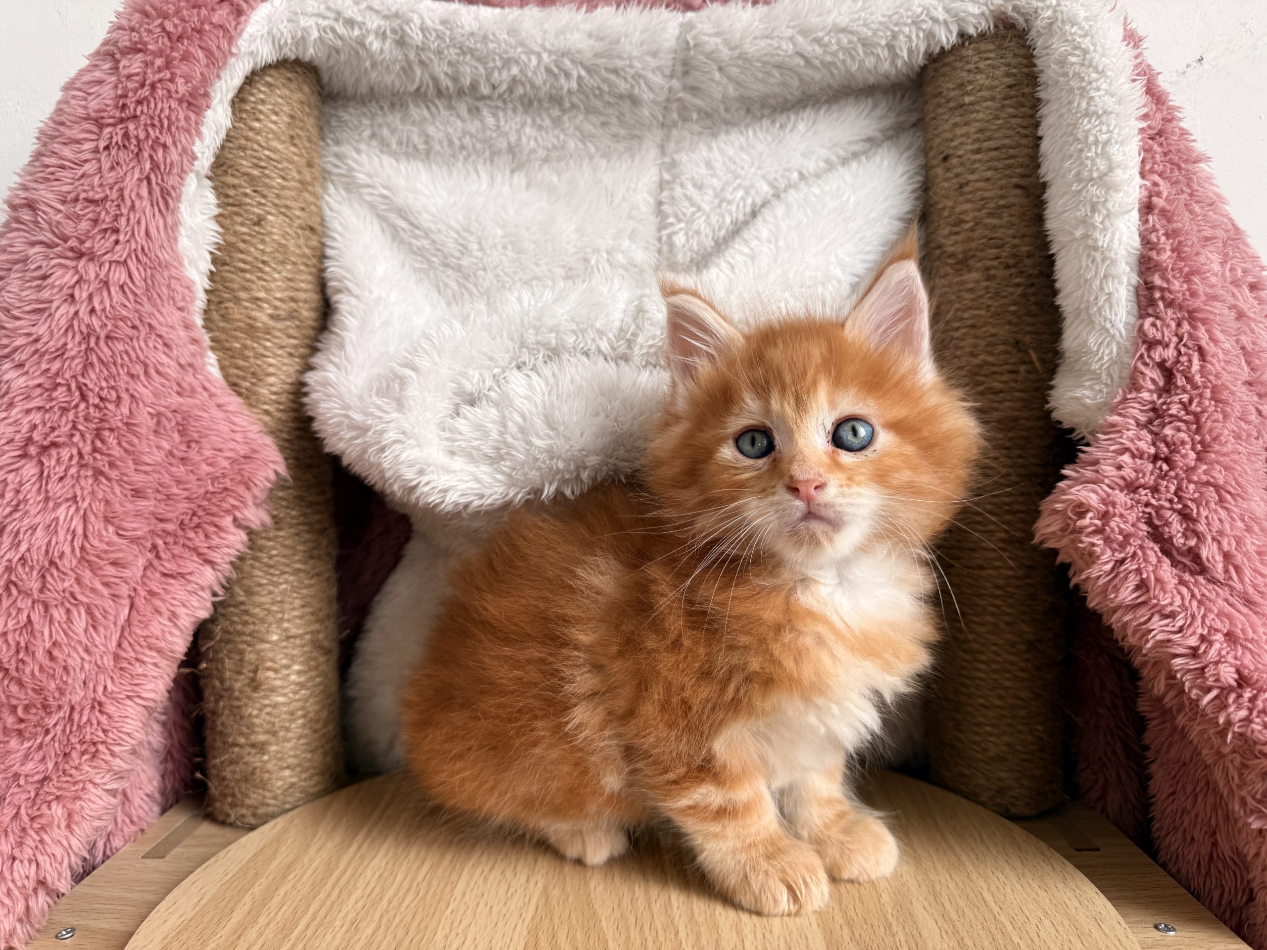 成长档案（小性）